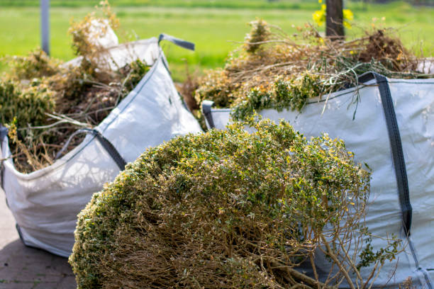 Best Basement Cleanout Services  in Gloster, MS